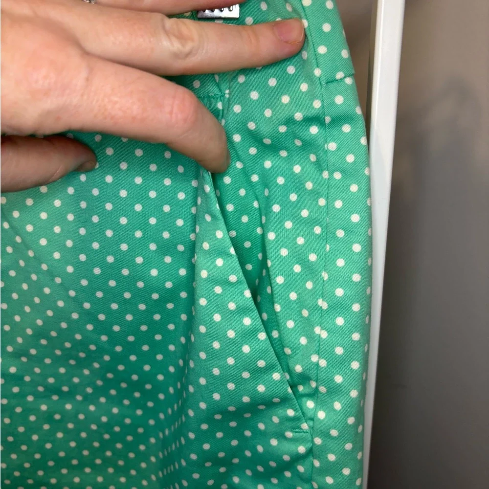 🌸Ann Taylor Green Cotton Polka Dot Skirt🌸 - Picture 4 of 9